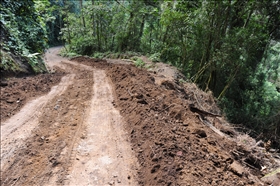 Sendero Los Quetzales